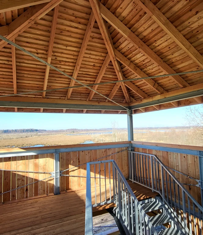 Theikenmeer-Runde, Werlte - Hümmling-Pfade, Bernhard-Grzimek-Turm ©Naturpark Hümmling.jpg