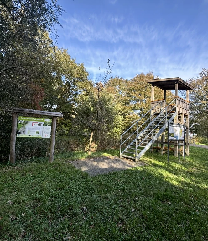 Aussichtsturm Borkener Paradies, Meppen ©Emsland Tourismus GmbH.JPEG