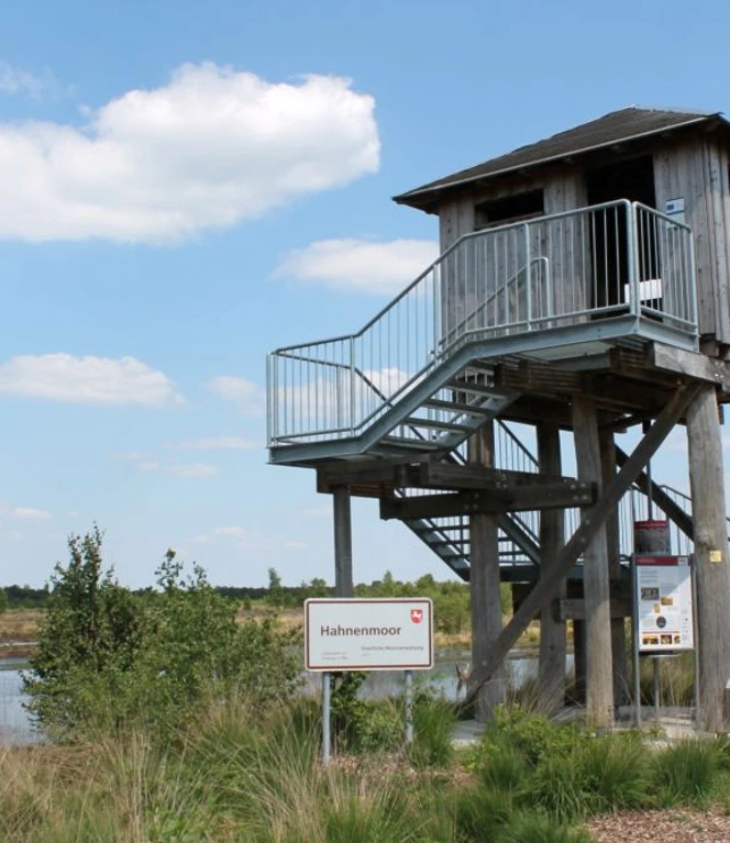 Torfwerk Hahnenmoor, Herzlake - Aussichtsturm im Hahnenmoor ©Emsland Tourismus GmbH.jpg Holzaussichtsturm im Hahnenmoor bei Herzlake mit Blick auf Moorlandschaft und Wasserflächen.