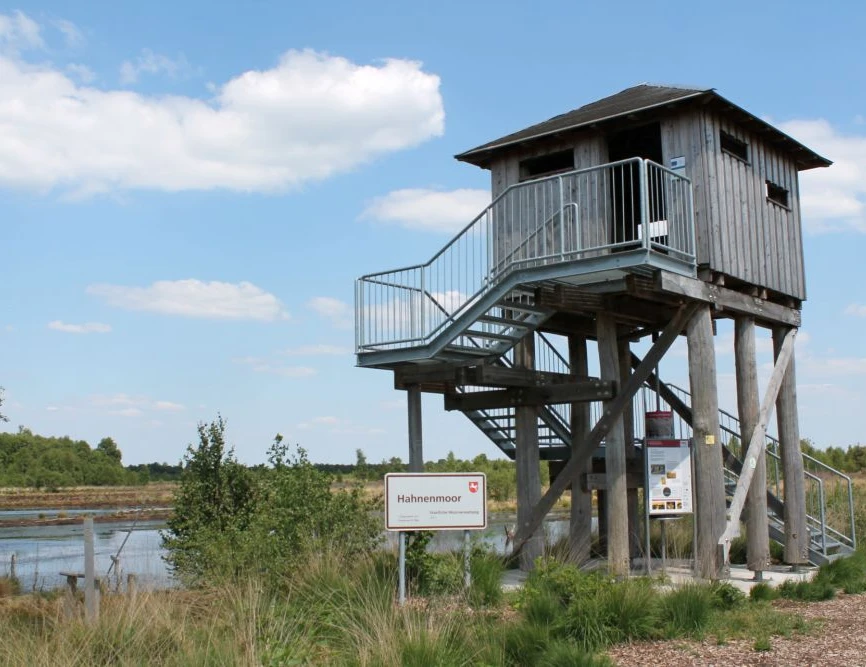 Torfwerk Hahnenmoor, Herzlake - Aussichtsturm im Hahnenmoor ©Emsland Tourismus GmbH.jpg
