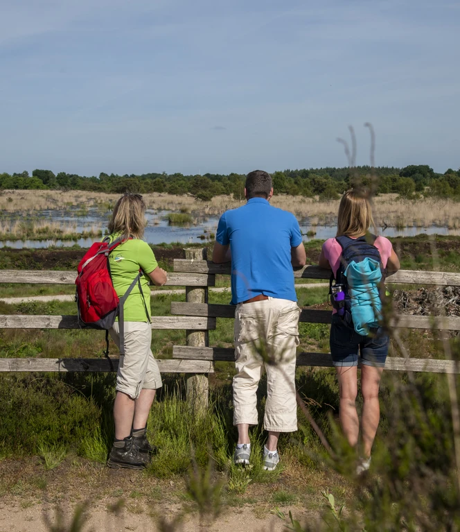 Aussichtshügel im Dalum-Wietmarscher Moor ©TMN GmbH, Sabine Braun Fotografie.jpg