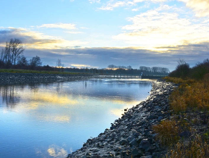 Emsauen, Naturschutzgebiet bei Herbrum ©Emsland Tourismus GmbH (2).jpg