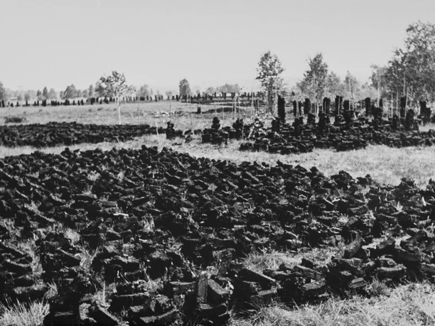 Bevor Torf abtransportiert werden konnte, lag es in Stapeln in der Sonne