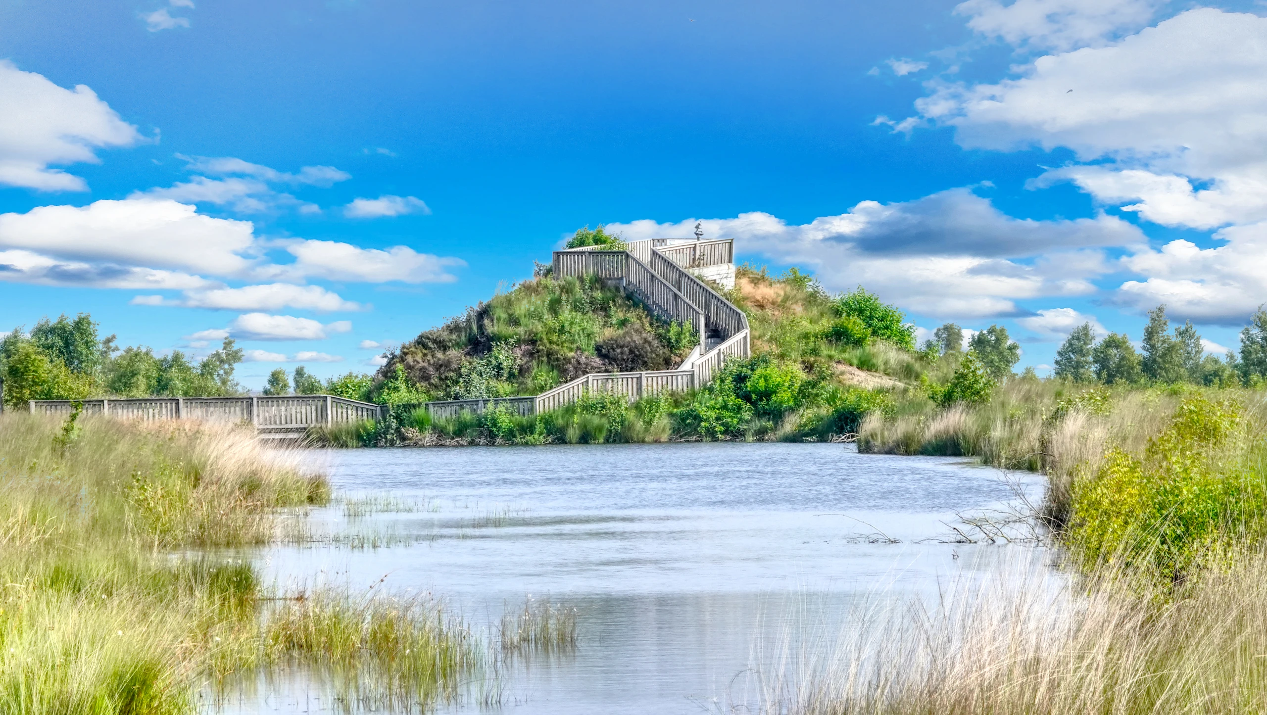 Esterweger Dose - Naturschutzgebiet in Esterwegen, Aussichtshügel ©Naturpark Hümmling (4).jpg