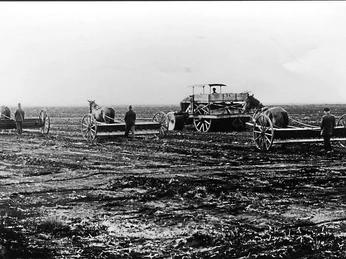 Es folgte die erste Einsaat wie hier Gras. Während Grassamen mit Pferde gezogener Drillmaschine gesät wurden, erfolgte das Anwalzen motorisiert mit schwereren Walzen. Mehrere Männer arbeiten mit pferdegezogenen Sämaschinen und Walzen auf einem weiten Ackerfeld.