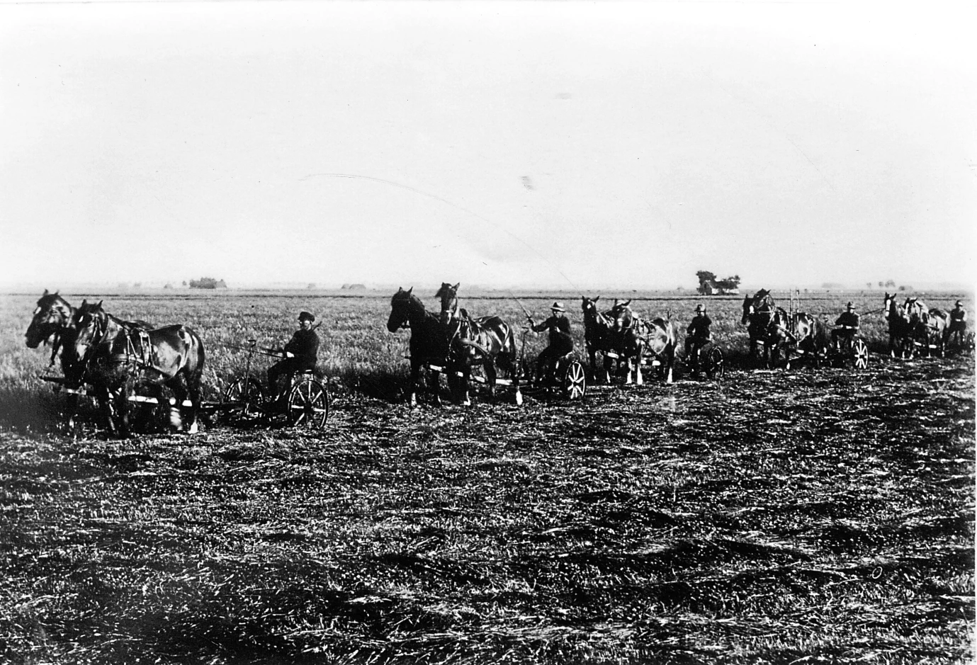 War das Gras im Sommer entsprechend gewachsen und reif für den Schnitt, erfolgte das Mähen mit Grasmähmaschinen.