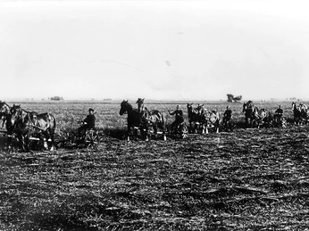 War das Gras im Sommer entsprechend gewachsen und reif für den Schnitt, erfolgte das Mähen mit Grasmähmaschinen. Bauern mähen mit pferdegezogenen Maschinen hohes Gras auf weitem Feld unter klarem Himmel.