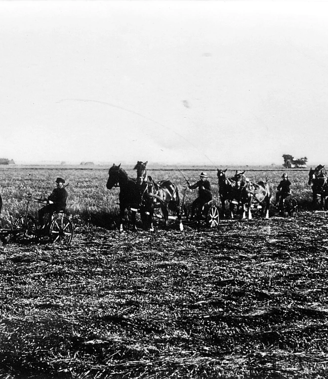 War das Gras im Sommer entsprechend gewachsen und reif für den Schnitt, erfolgte das Mähen mit Grasmähmaschinen.