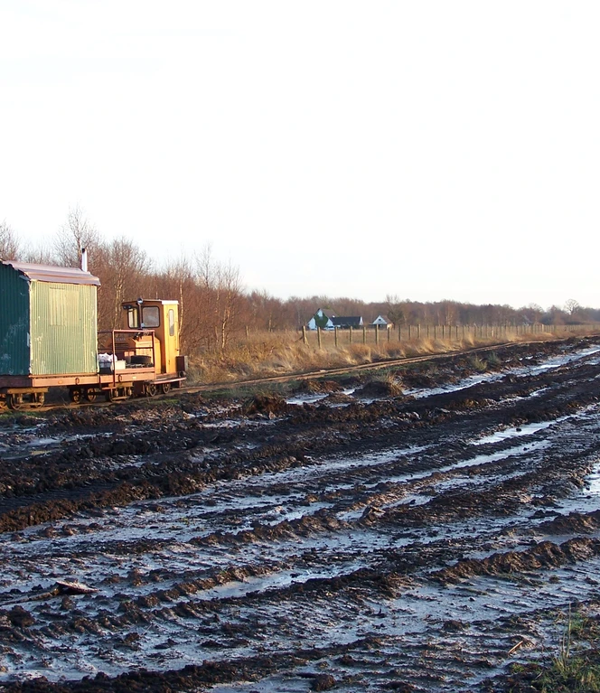 Ein typischer Moorweg Schmalspurbahn mit grünem Wagen auf nassem Moorweg bei winterlichem Licht und kahlen Bäumen.