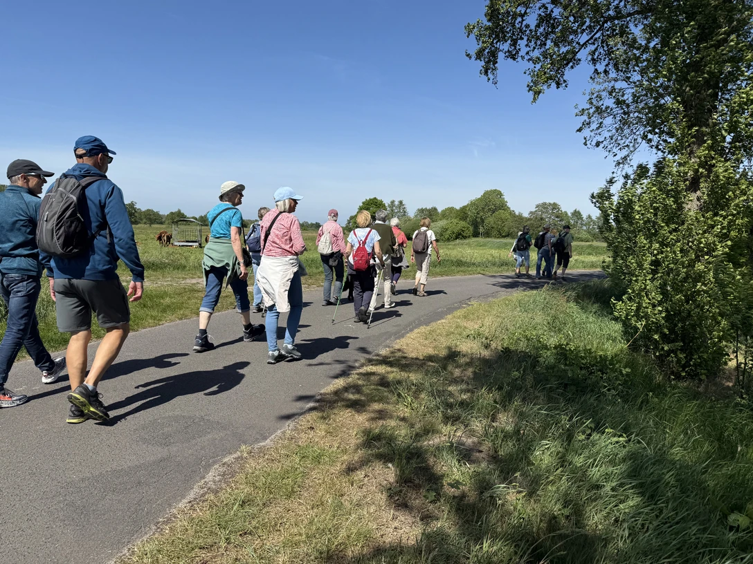 IMG_8688.JPG Group of hikers in outdoor clothing walking on an asphalt path through a green landscape in sunny weather.