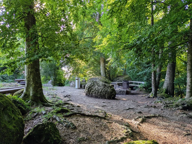 Picknickplatz-Bühlwäldli