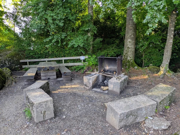 Picnic area Bühlwäldli