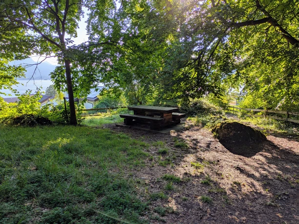 Picknickplatz Bühlwäldli