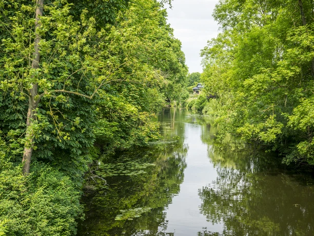 Neetze in Lüdershausen Die grüne bewachsene Neetze in Lüdershausen