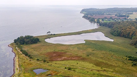 Trillen©Kim-Toft-Jørgensen-Sønderborg-Kommune