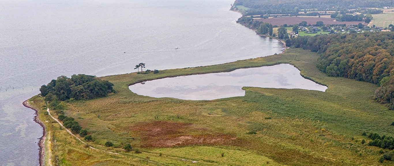 Trillen©Kim-Toft-Jørgensen-Sønderborg-Kommune