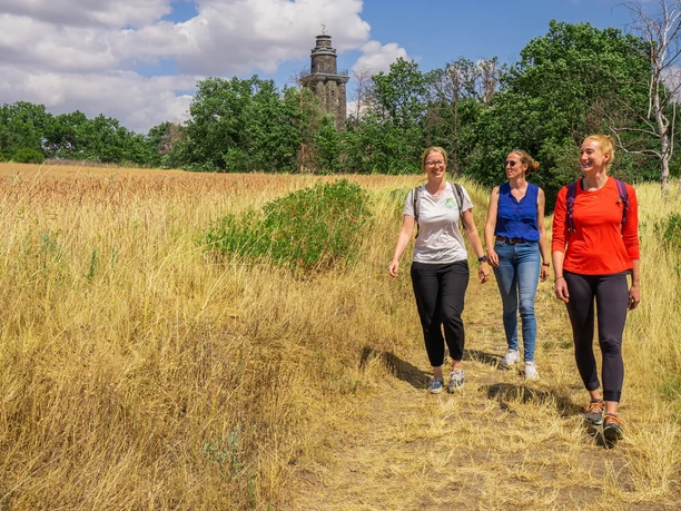 Weg zum Bismarckturm auf dem Wachtelberg bei Wurzen