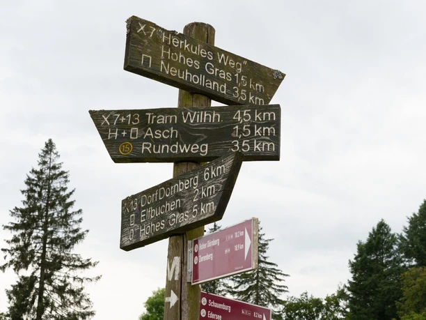 Wandern-in-Kassel-Routen.jpeg