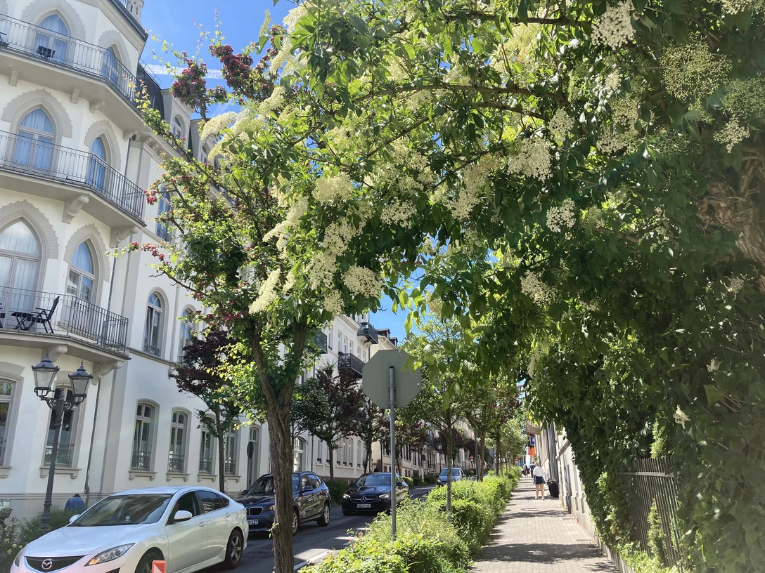 Fuehrung_Kur Geschichte_BadHomburg©kuk(1).JPG