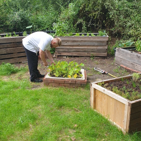 Brackstedter Mühle - Hochbeeternte