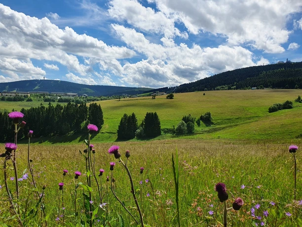 Blick auf Keilberg und Fichtelberg