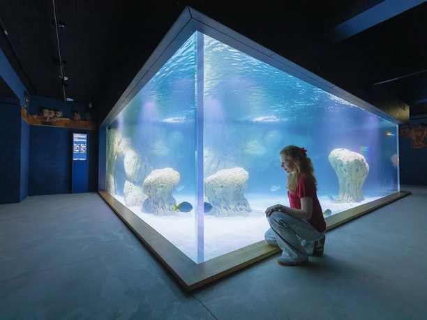 Besucherin im Aquarienrundgang MEERESMUSEUMs