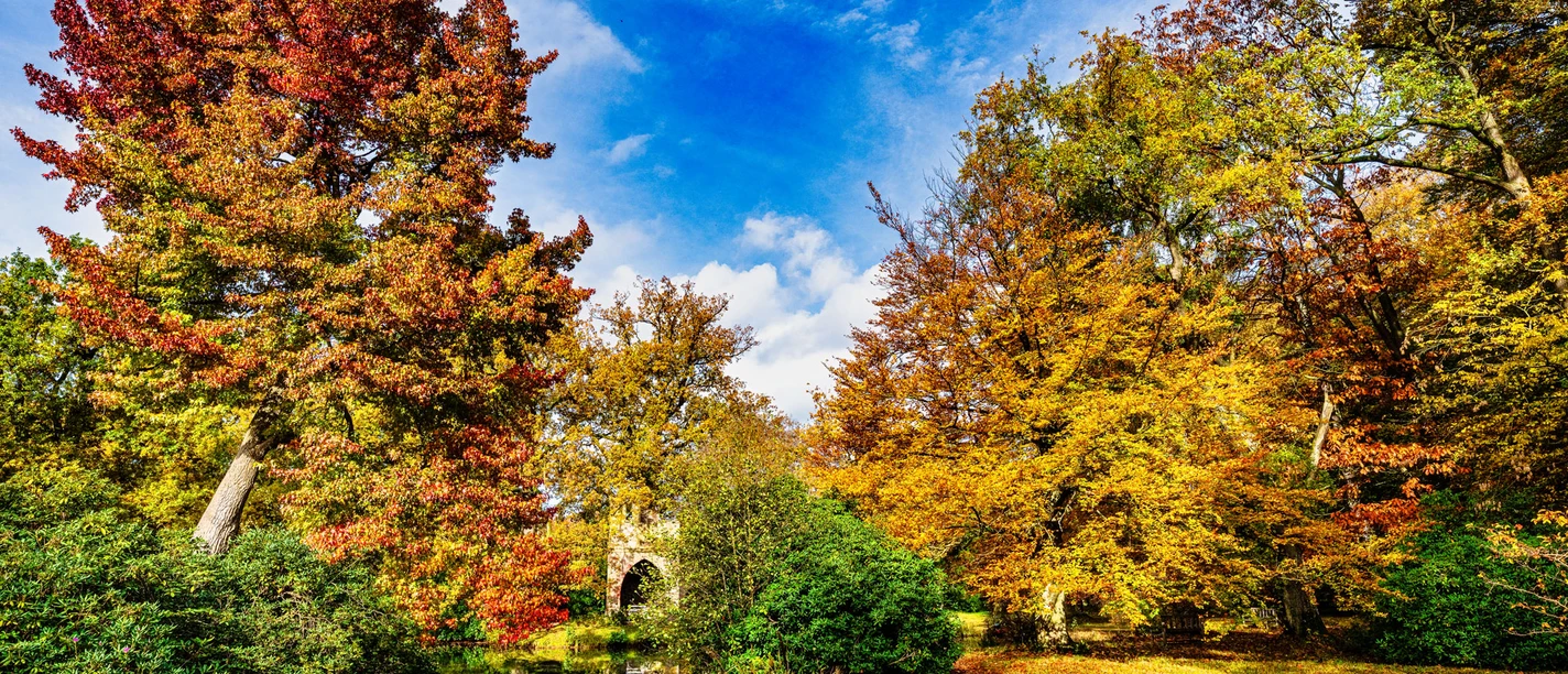 Herbst_Vernastaltungskalender_1A_07239.jpg Herbst_Vernastaltungskalender_1A_07239.jpg