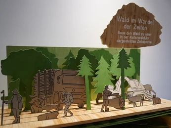 Modell Wald im Wandel der Zeiten