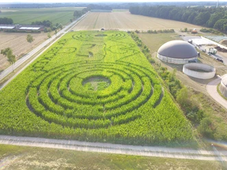 Maislabyrinth Hof Becker Ein weitläufiges Maislabyrinth erstreckt sich in einer geometrischen Form, umgeben von grünen Feldern. Die verschlungenen Pfade formen ein Muster, das aus der Höhe gut erkennbar ist.