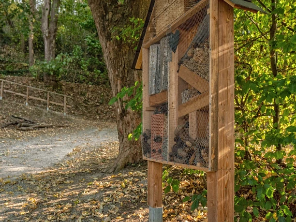 Dauborner Anlagen Insektenhotel.jpg