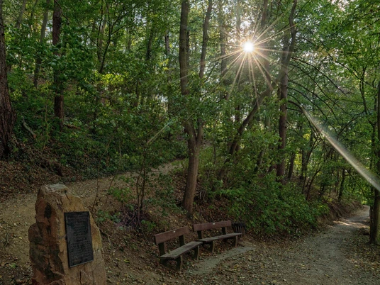 Dauborner Anlagen.jpg