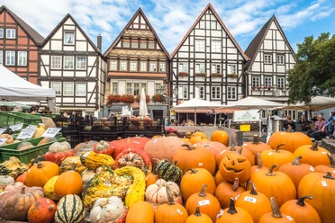 Bauernmarkt Rinteln Kürbisse auf dem Marktplatz Bauernmarkt Rinteln Kürbisse auf dem Marktplatz