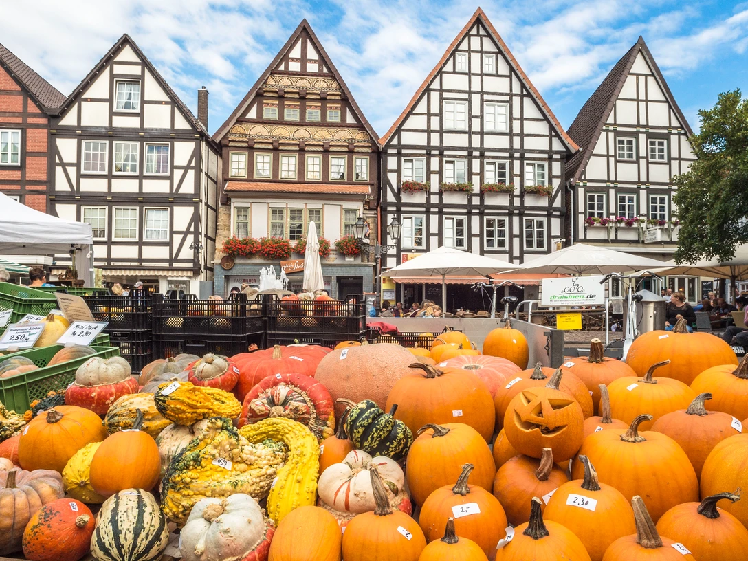 Bauernmarkt Rinteln Kürbisse auf dem Marktplatz Bauernmarkt Rinteln Kürbisse auf dem Marktplatz