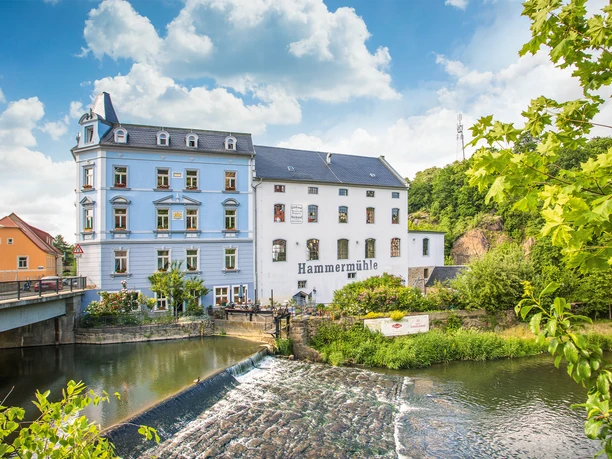_L3A0703_1.jpg Historische Mühle an einem Fluss mit kleinem Wasserfall und umliegender Natur.