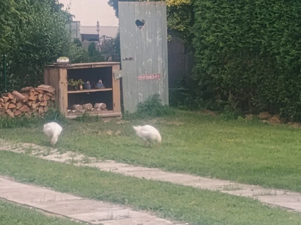 Wohnmobilstellplatz Schießen