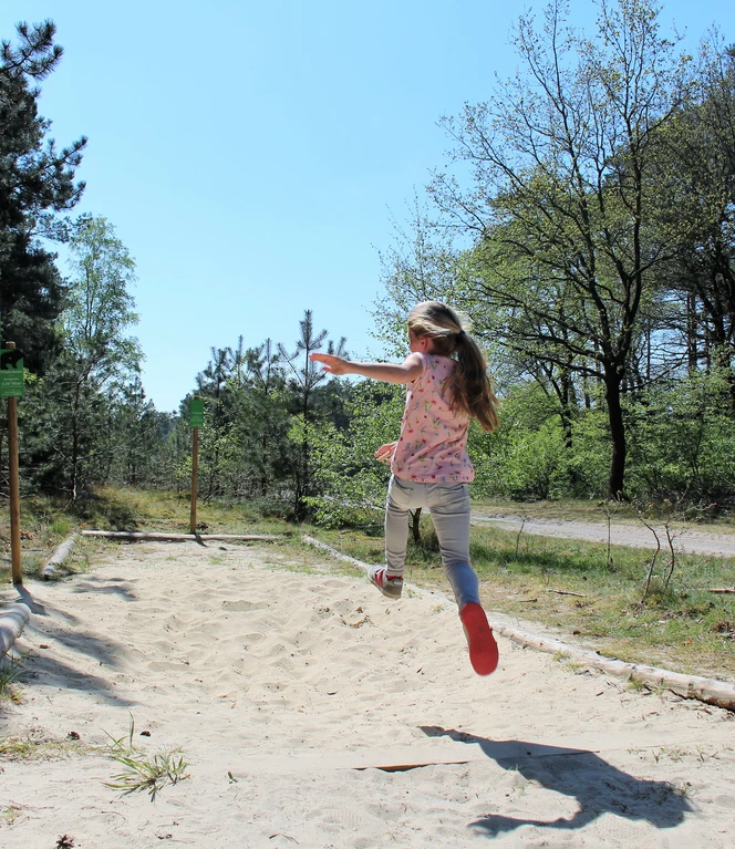 Waldsportpfad Lorup – Loruper Kateekerpad ©Emsland Tourismus GmbH