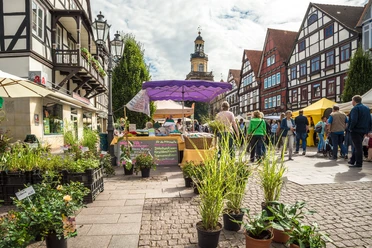 Bauernmarkt Rinteln Pflanzenverkauf Bauernmarkt Rinteln Pflanzenverkauf