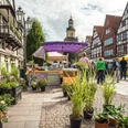 Bauernmarkt Rinteln Pflanzenverkauf Bauernmarkt Rinteln Pflanzenverkauf
