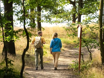 Auf dem Weg durch den Stadtwald Meißen