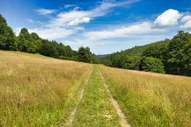 unterwegs im Griesetal
