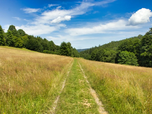 unterwegs im Griesetal