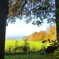 Höhlenweg.jpg Waldweg bei Schlangen mit Laubbäumen und Bank, umgeben von grüner Wiese und weitem Ausblick.