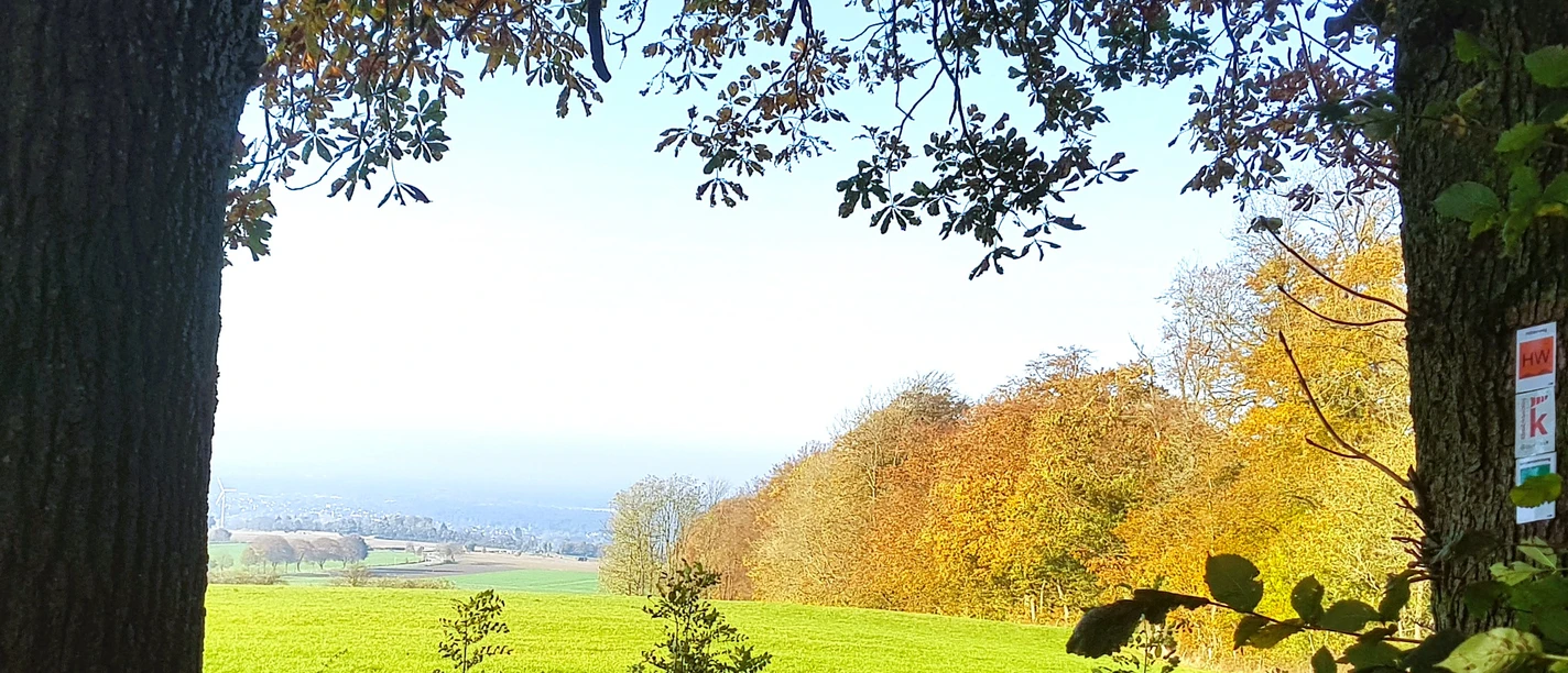 Höhlenweg.jpg Waldweg bei Schlangen mit Laubbäumen und Bank, umgeben von grüner Wiese und weitem Ausblick.
