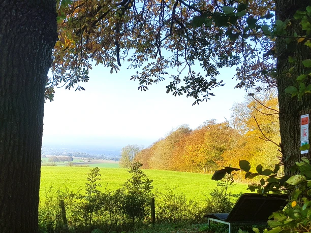 Höhlenweg.jpg Waldweg bei Schlangen mit Laubbäumen und Bank, umgeben von grüner Wiese und weitem Ausblick.