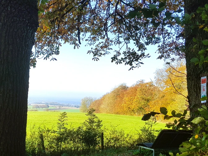 Höhlenweg.jpg Waldweg bei Schlangen mit Laubbäumen und Bank, umgeben von grüner Wiese und weitem Ausblick.