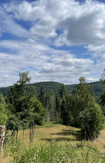 Ausblick vom Estenbergrundweg 2