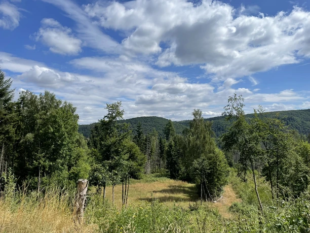 Ausblick vom Estenbergrundweg 2