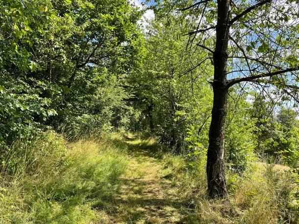 Wanderpfad des Estenberg Rundweges 3