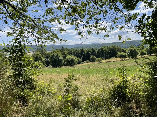 Aussicht vom Estenberg Rundwege 3