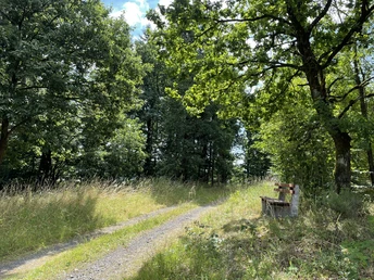Wanderweg und Bank am Wegesrand des Estenberg Rundweges 3